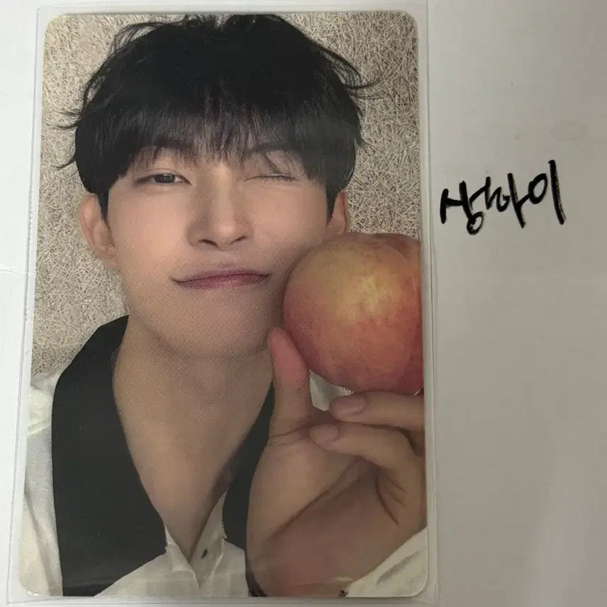 [BUNJANG] Alphadriveone Gunwoo Photocard / 알파드라이브원 알디원 건우 보플 포카