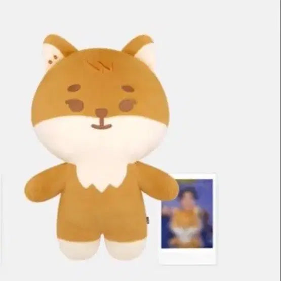 [SOLD OUT] 데이식스 자쁘멀 케 원가양도