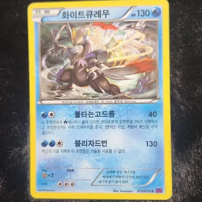 [BUNJANG] Pokemon Card White Kyurem XY / 포켓몬 카드 화이트 큐레무 XY