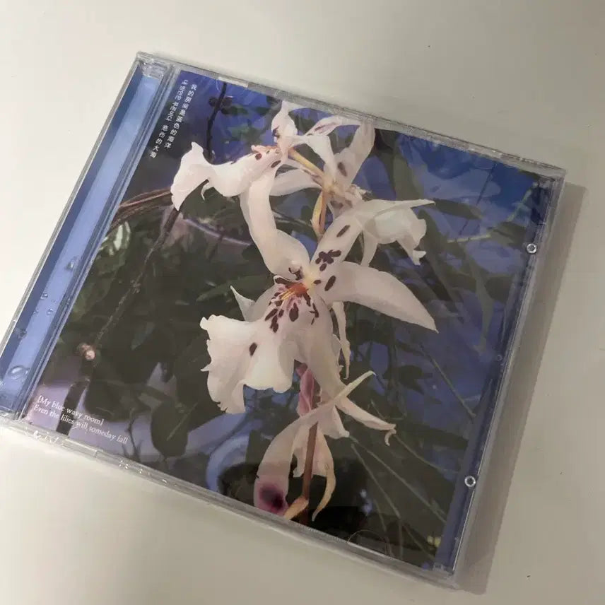 [BUNJANG] LeDore Inside My Room Is Blue Sea CD (Sealed) / 리도어 내 방안은 푸른바다 CD 미개봉 새제품