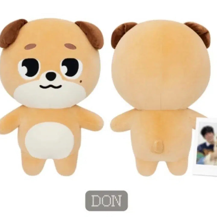 [BUNJANG] Day6 Giant Dennimals Donnie Photocard / (폴라포함)데이식스 자이언트 데니멀즈 돈