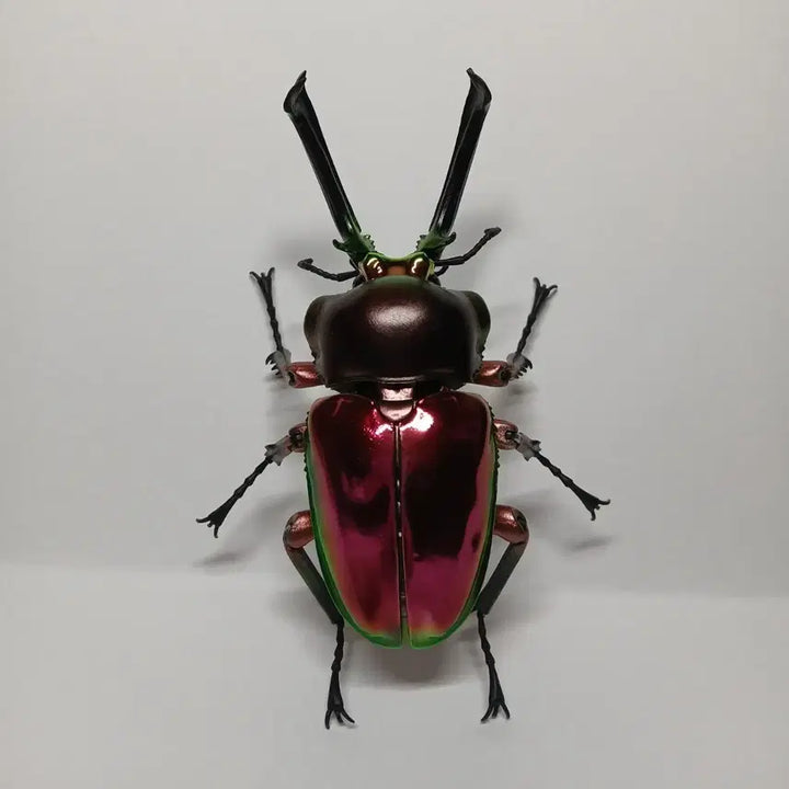 [BUNJANG] Bandai Mutuellaria Deer Beetle Figure (Red) / 반다이 생물대도감 어드밴스 뮤엘러리사슴벌레 레드