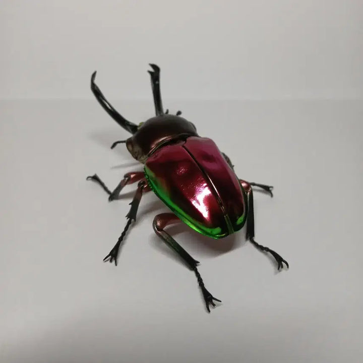[BUNJANG] Bandai Mutuellaria Deer Beetle Figure (Red) / 반다이 생물대도감 어드밴스 뮤엘러리사슴벌레 레드