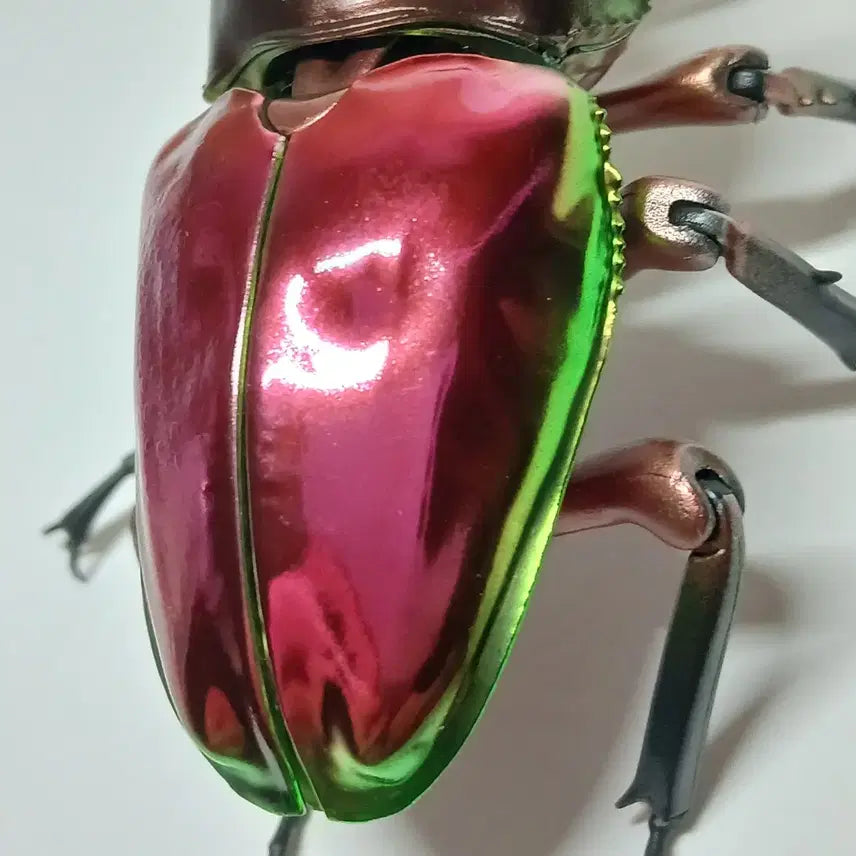 [BUNJANG] Bandai Mutuellaria Deer Beetle Figure (Red) / 반다이 생물대도감 어드밴스 뮤엘러리사슴벌레 레드