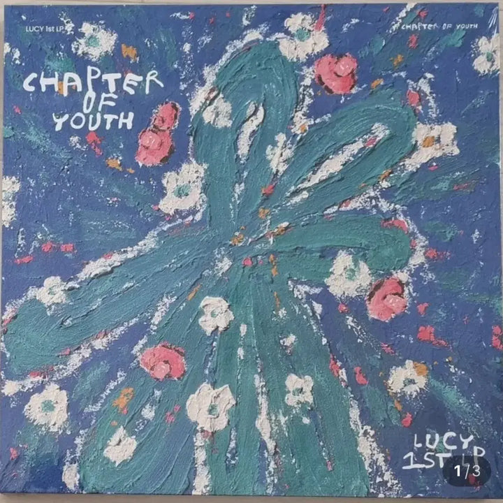 [BUNJANG] 루시 lp 단순개봉 / 루시 lp 단순개봉