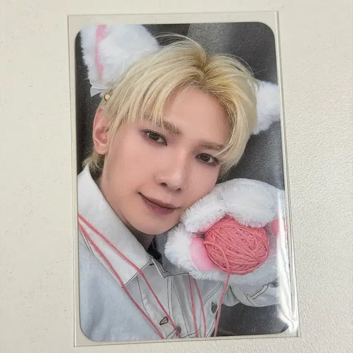 [BUNJANG] ATEEZ Yeosang Wool Cat Photocard DearMyMuse / 에이티즈 여상 털실 고양이 포카 디어마이뮤즈 디마뮤