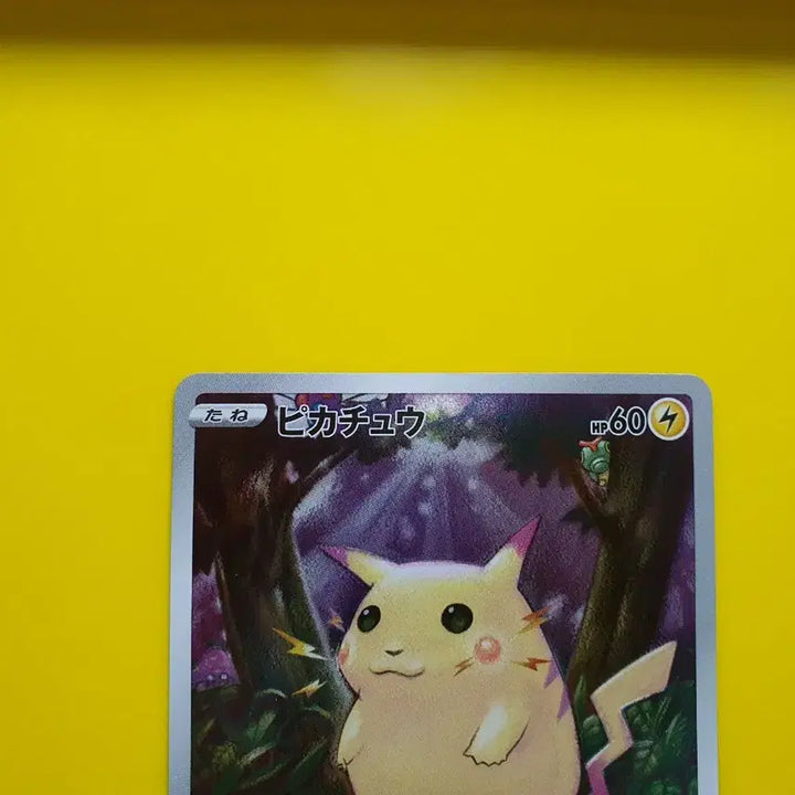 [BUNJANG] Pokemon 25th Anniversary Jungle Big Pikachu Japanese Card / 포켓몬카드 a+급 25주년애니버서리  정글 큰피카츄 일판 팜