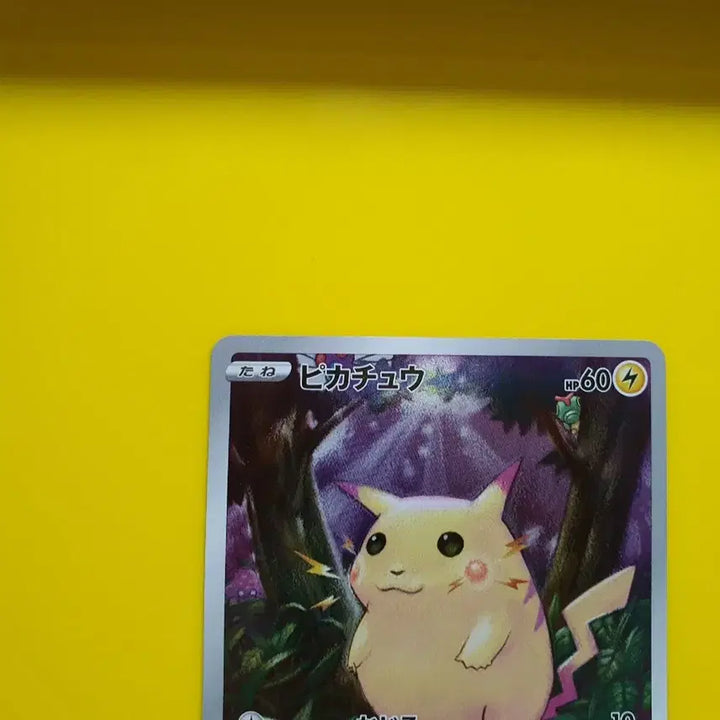 [BUNJANG] Pokemon 25th Anniversary Jungle Big Pikachu Japanese Card / 포켓몬카드 a+급 25주년애니버서리  정글 큰피카츄 일판 팜