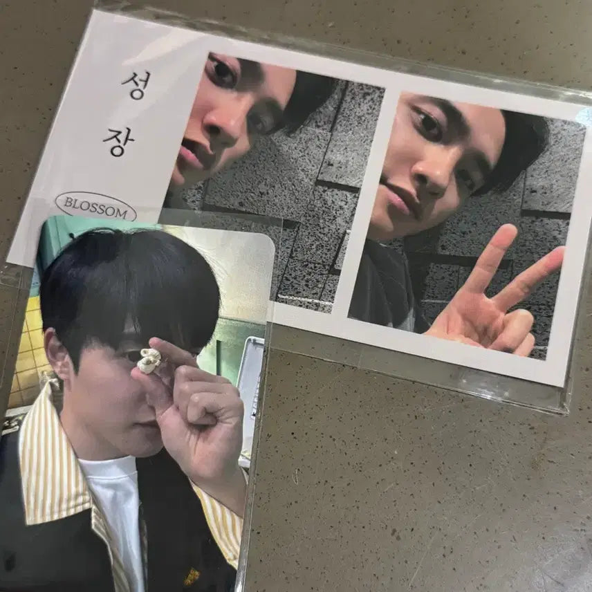 [SOLD OUT] 엑소 디오 도경수 성장 팝콘 포카 포토카드