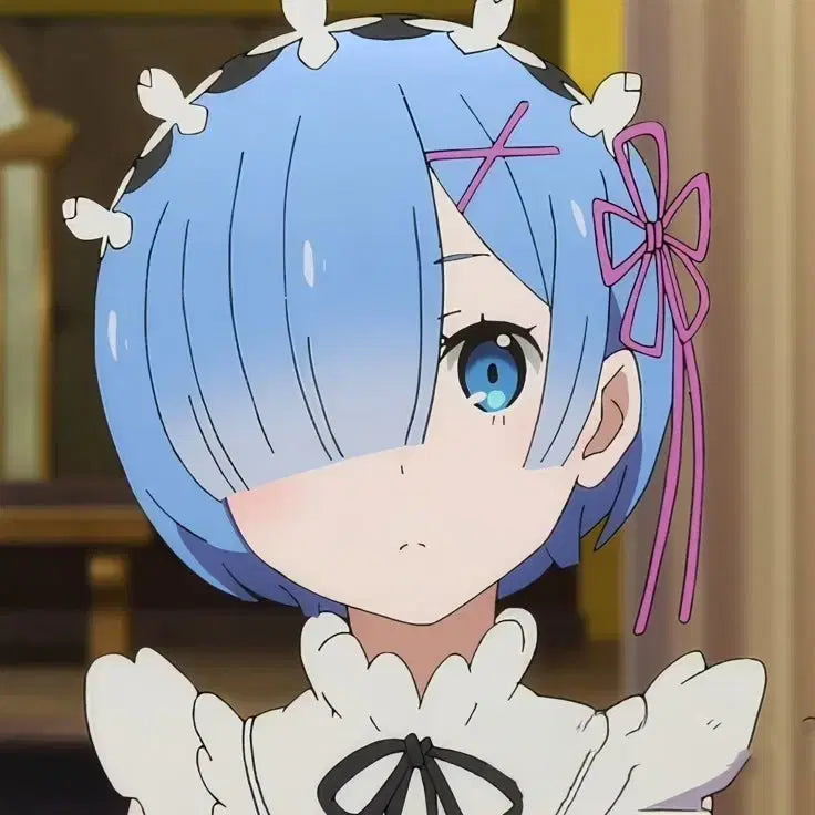 [BUNJANG] Re:Zero Rem Cosplay Costume Set / 여캐 리제로 렘 코스프레 판매합니다