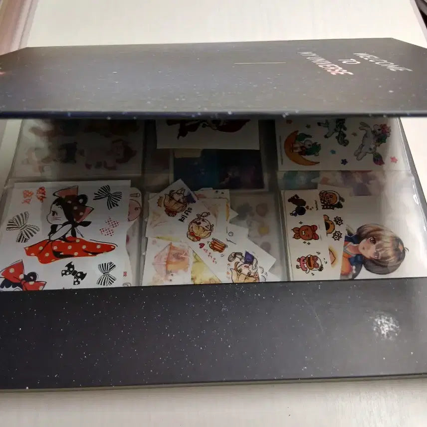 [BUNJANG] Unidentified Binder (Photo, Sticker) / 우주 바인더 (사진, 스티커)