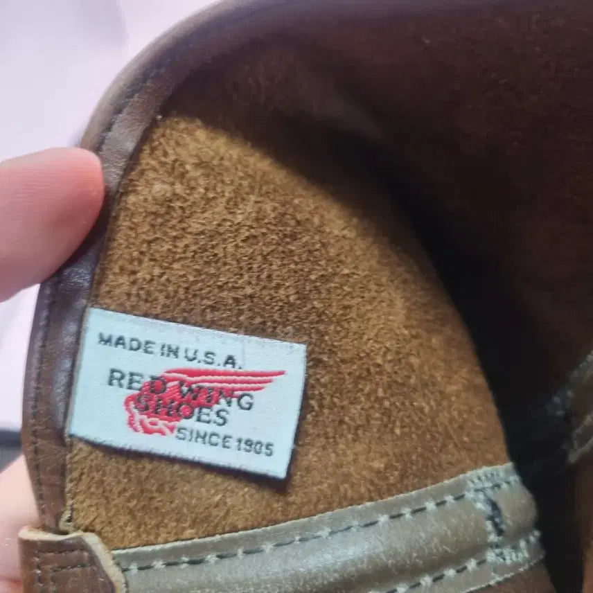 [BUNJANG] 래드윙페코수 9d 사이즈 / 래드윙페코수 9d 사이즈