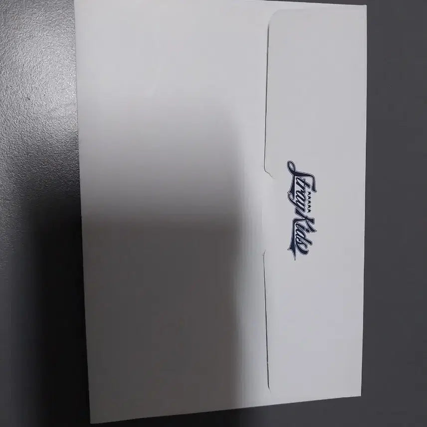 [BUNJANG] Stray Kids 5-Star Unveil 13 Concert Entry Card / 스키즈 스트레이키즈 5스타 언베일 13 콘서트 입장 카드