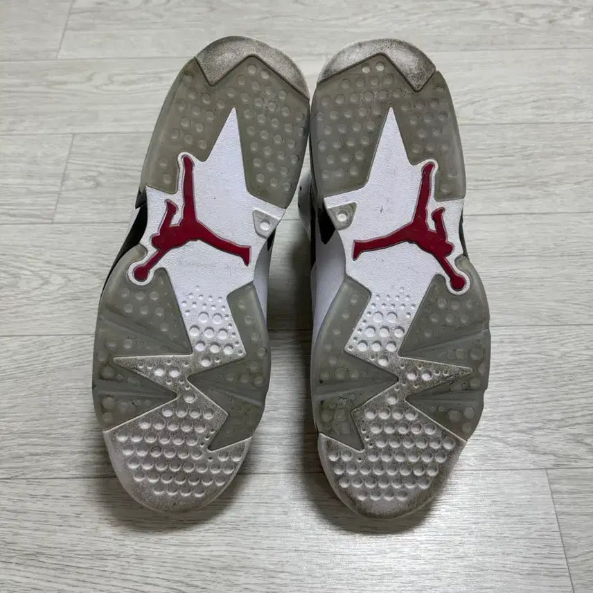 [BUNJANG] Nike Jordan 6 Carmine 2021 Sneakers / 조던 6 카마인 2021 275