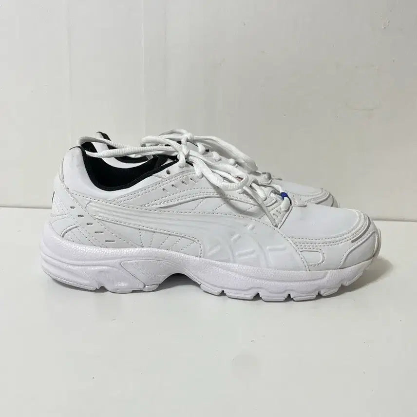 [SOLD OUT] 250 PUMA 푸마 엑시스 운동화 정품