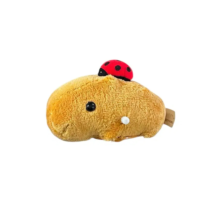 [BUNJANG] Ladybug Capybara Pull-back Car Plush Toy / [작동o] 무당벌레 카피바라상 풀백카 인형