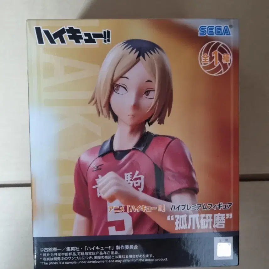 [BUNJANG] Sega Kozume Kenma Figure / [미개봉]세가 하이큐 코즈메 켄마 피규어