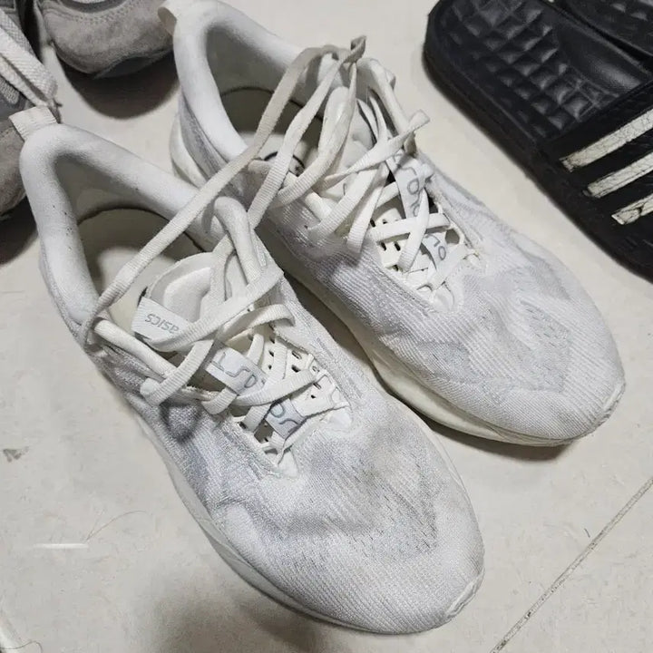 [SOLD OUT] 노바블라스트5 250