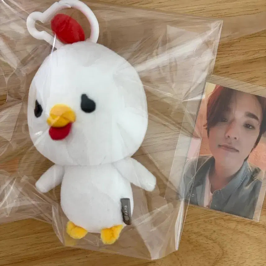 [SOLD OUT] eaj 박제형 쩨꼬20 인형