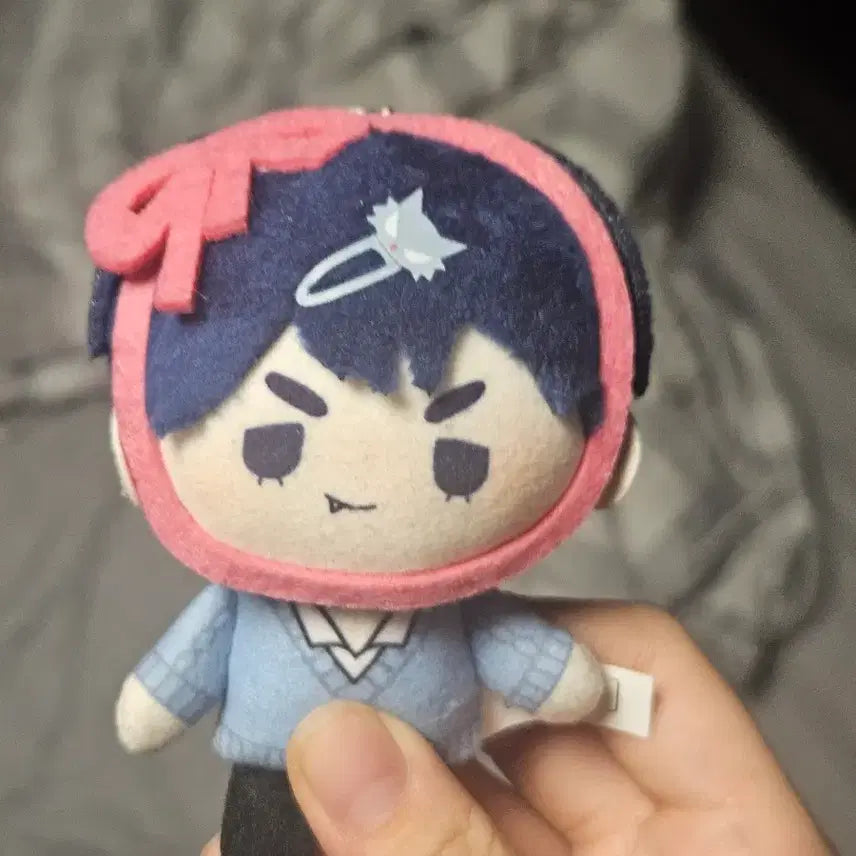 [SOLD OUT] 급처) 출생증 O, 에이스테 이반 공식 누이