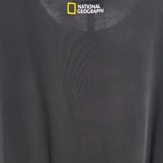 [BUNJANG] National Geographic XXXL T-shirt / 내셔널지오그래픽 반팔 티셔츠 XXXL3