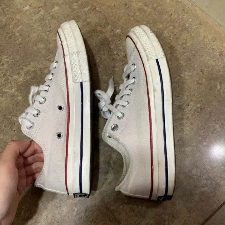 [BUNJANG] Converse Chuck Taylor Low Ivory Sneakers / 컨버스 척테일러 로우 아이보리 235