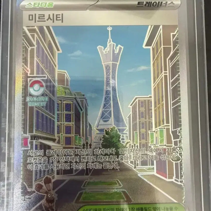 [SOLD OUT] 포켓몬 카드 묶음 (SAR/SR)