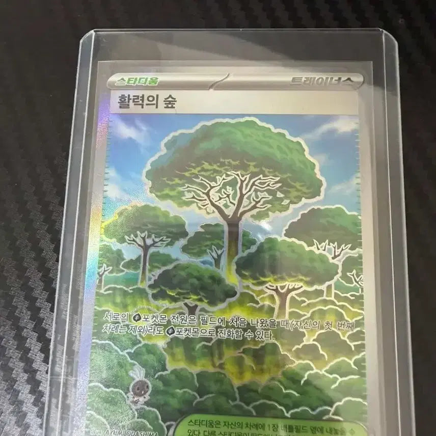 [SOLD OUT] 포켓몬 카드 묶음 (SAR/SR)