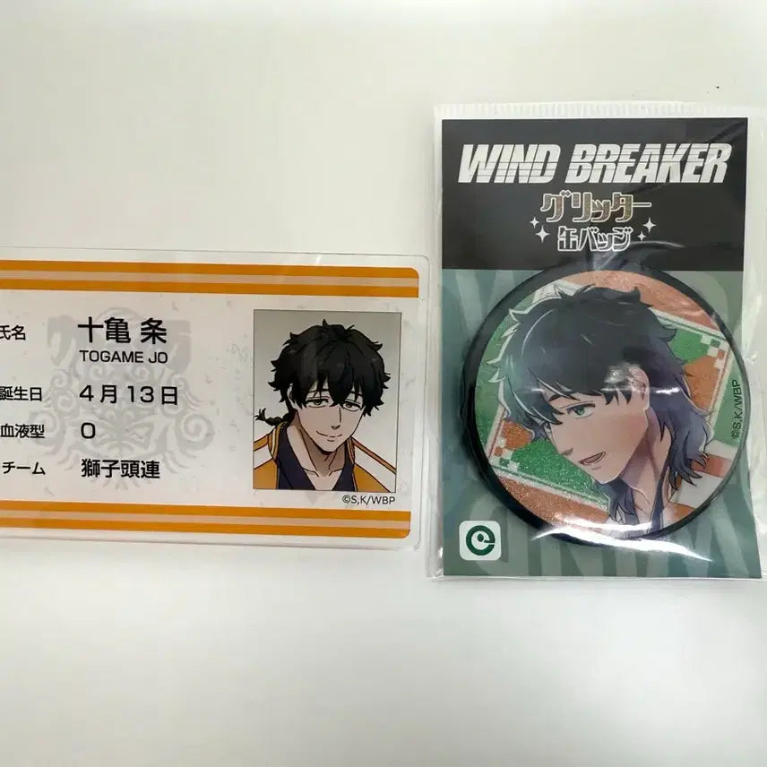 [BUNJANG] Wind Breaker Togame Jo Glitter Can Badge and Student ID Badge Bundle Set / (일괄) 윈드브레이커 윈브레 토가메 죠 원화  글리터 캔뱃지 학생증 뱃지