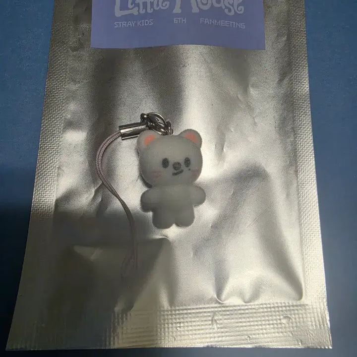 [SOLD OUT] 스트레이키즈 현진 지니렛 스키주 미니참