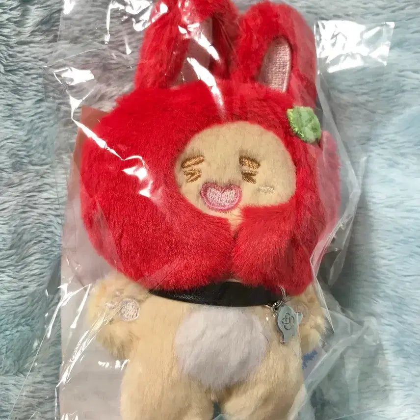 [BUNJANG] Onew Zzangnyangi Doll Keyring / 온유 찡냥이 팝업 찡즈 인형 키링