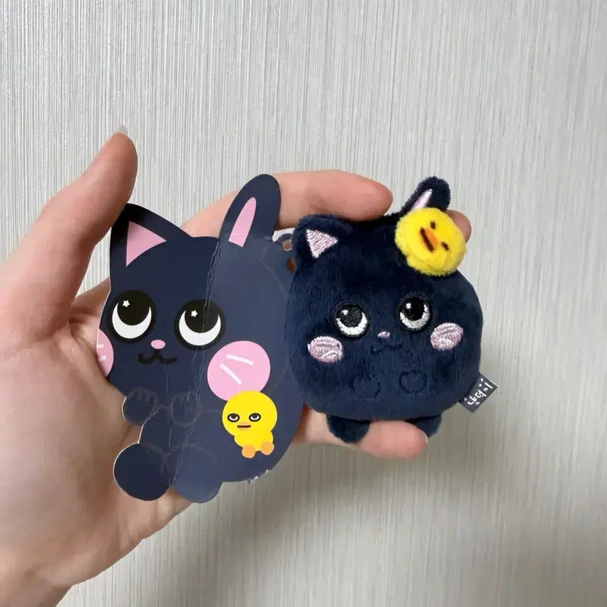 [SOLD OUT] 라이즈 원빈 토냥덕 미니