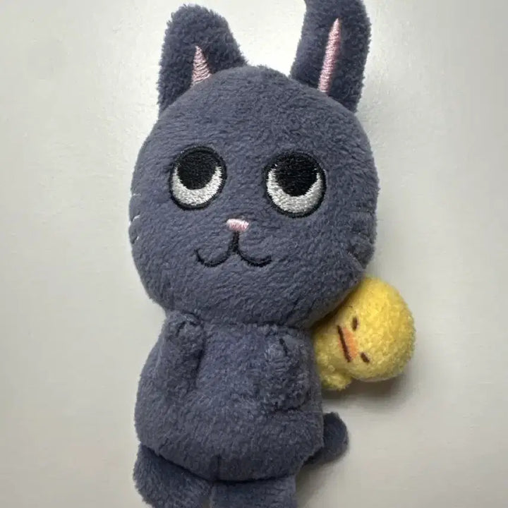 [SOLD OUT] 리라즈 토냥덕 1기