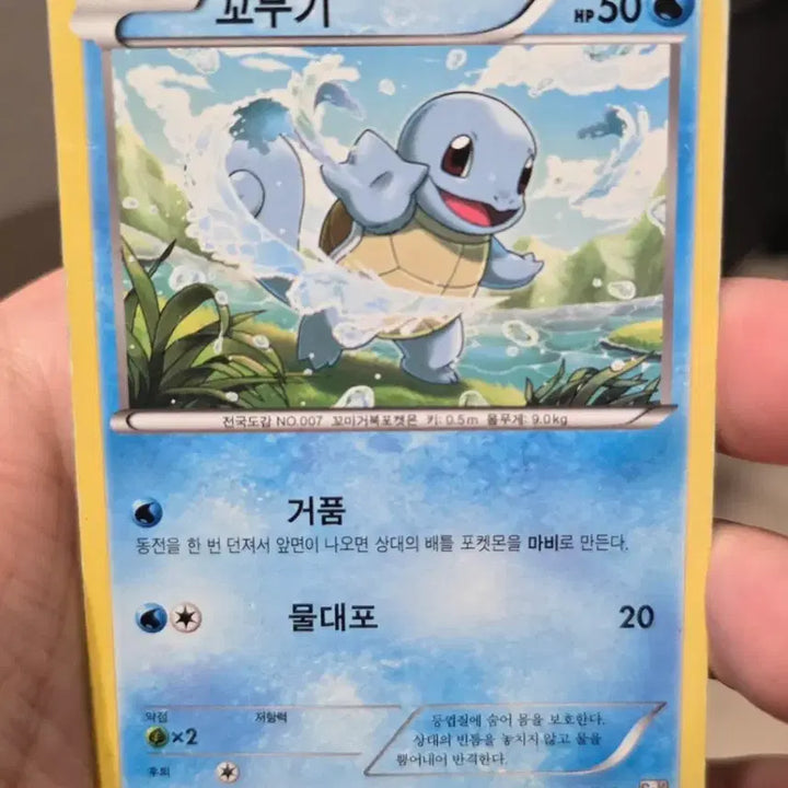 [BUNJANG] Pokemon Card 2013 Ancient Squirtle G+K / 포켓몬카드 2013년 고대 꼬부기 G+K
