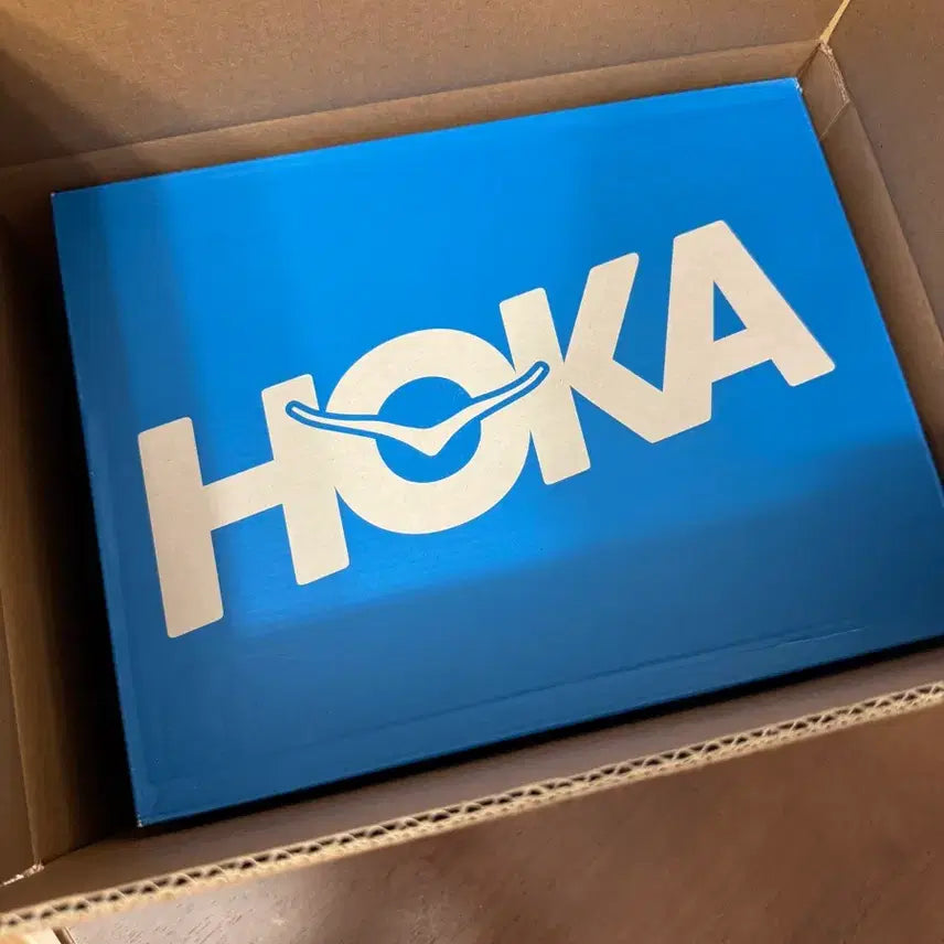 [BUNJANG] Hoka Stinson Evo OG TP Black Running Shoes / (새상품) 호카 스틴슨 Evo OG TP 블랙 290
