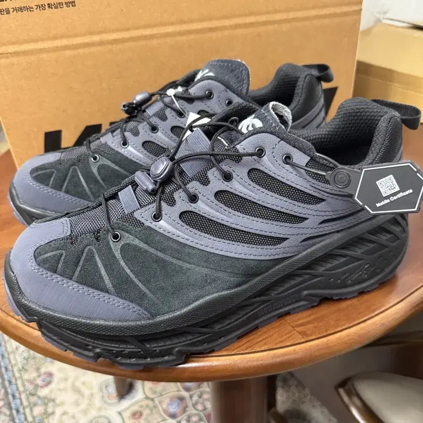 [BUNJANG] Hoka Stinson Evo OG TP Black Running Shoes / (새상품) 호카 스틴슨 Evo OG TP 블랙 290