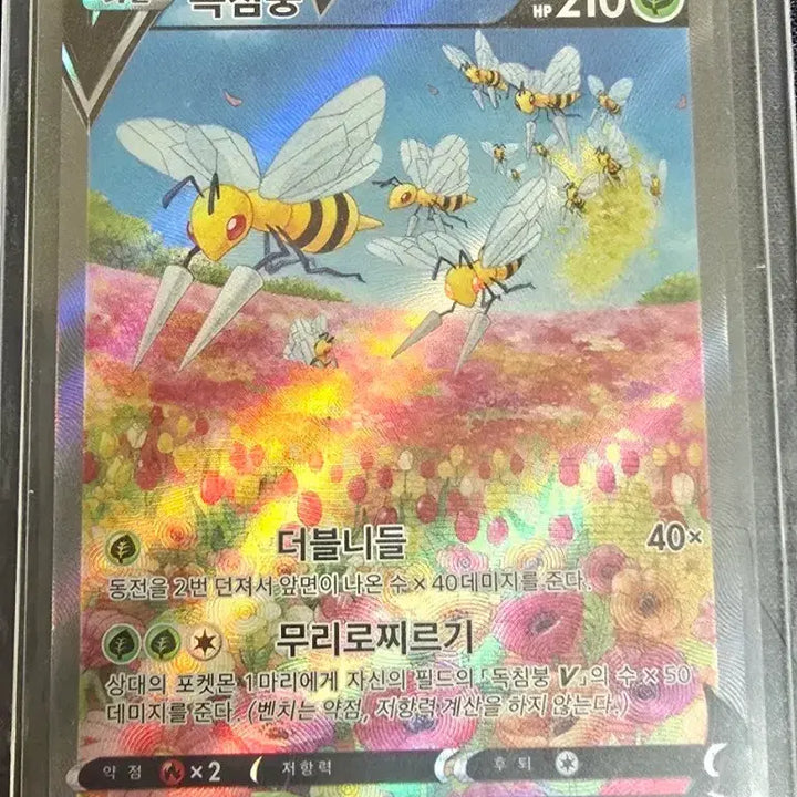 [BUNJANG] Pokémon Cards Venomoth V Chinese Version / 독침붕V 한어판