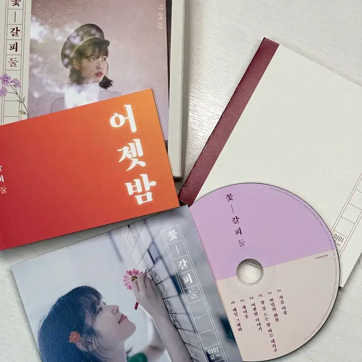 [SOLD OUT] 아이유 꽃갈피 둘 앨범 개봉품