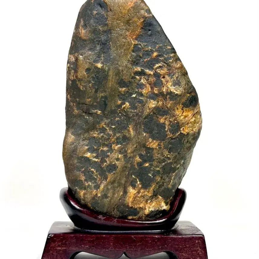 [BUNJANG] Sunchang Tiger Skin Stone / 순창호피석 흑호피 수석