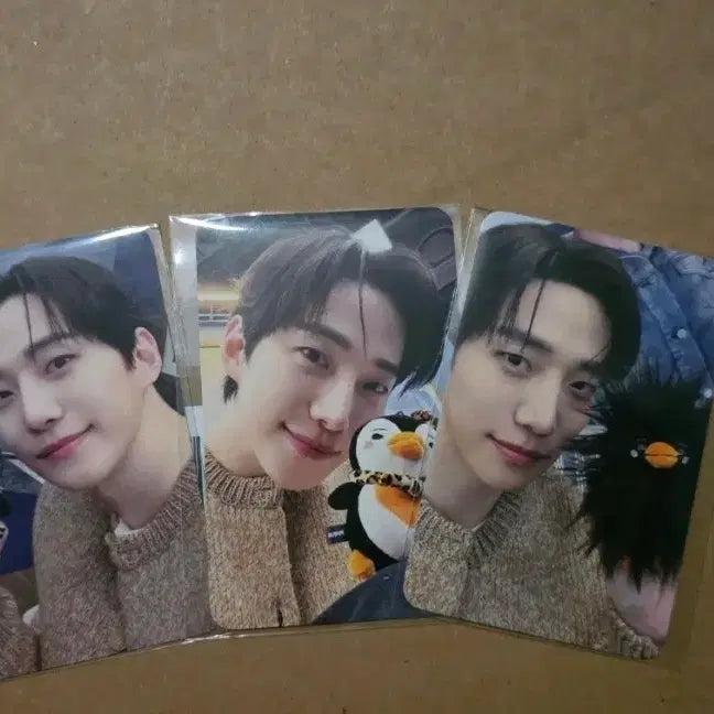 [BUNJANG] Lee Junho PengPeng Online POB Photocard 3-Piece Set / 이준호 펭펭 팝업 온라인 특전 포카 3종 세트