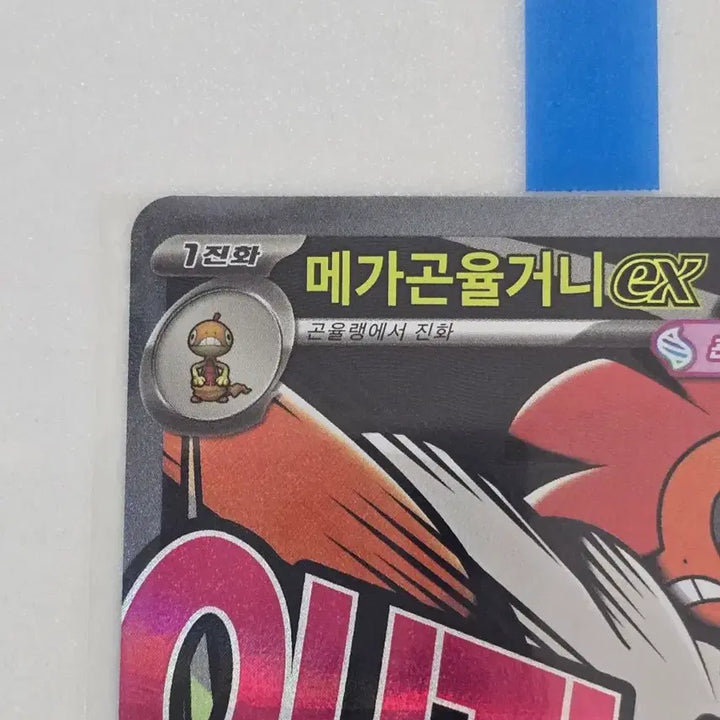 [BUNJANG] 포켓몬카드 메가 곤율거니 ex MA / 포켓몬카드 메가 곤율거니 ex MA