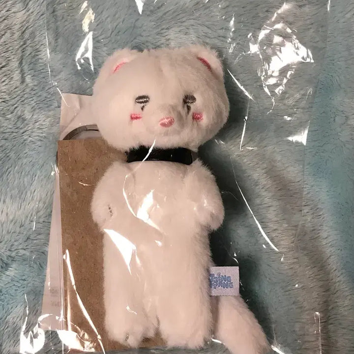[BUNJANG] Onew Jjingnyang Pop-Up Weasel Doll Keyring / 온유 찡냥이 팝업 족제비 인형 키링