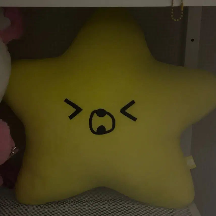 [BUNJANG] NCT Dream Haechan Seaweed Cushion / 엔시티드림 일이칠 해찬 햇가사리 쿠션
