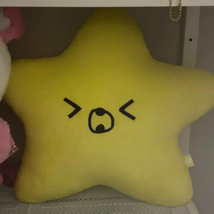 [BUNJANG] NCT Dream Haechan Seaweed Cushion / 엔시티드림 일이칠 해찬 햇가사리 쿠션