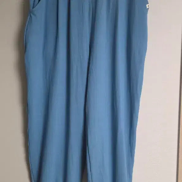 [BUNJANG] revemont Blue Harem Pants / revemont 블루 하렘팬츠