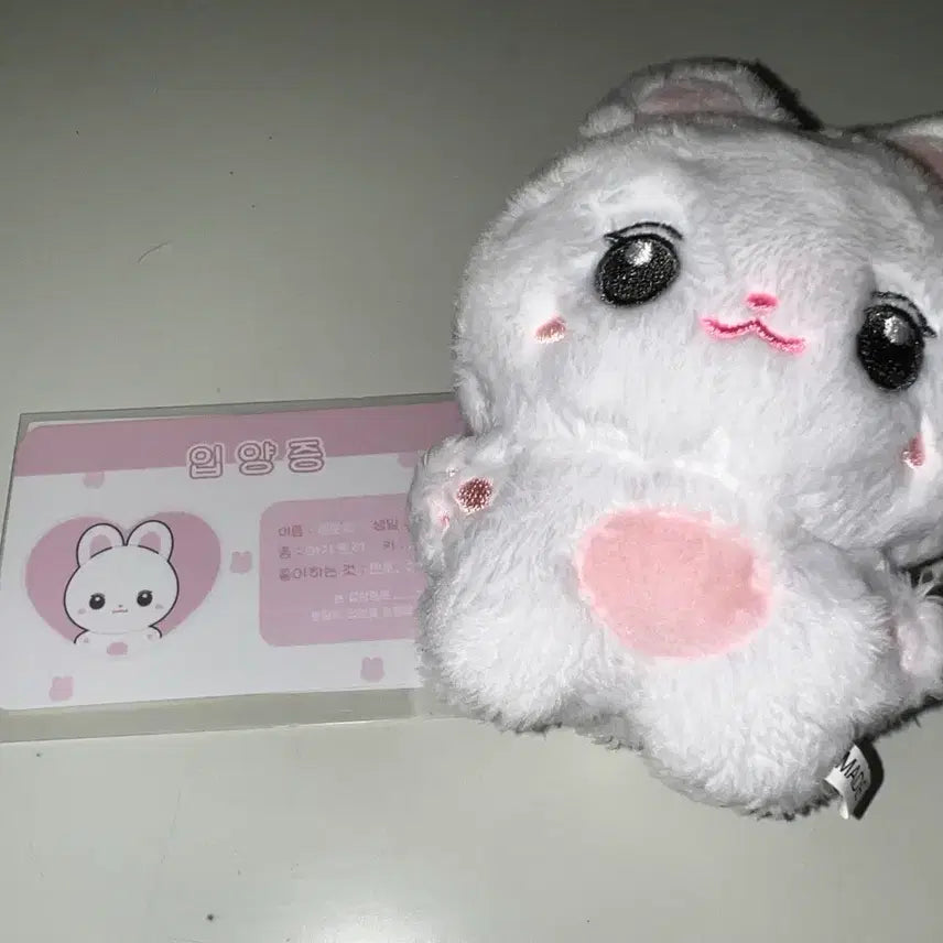 [BUNJANG] Kim Ji Won Kim Toding Doll / 배우 김지원 인형 김토딩