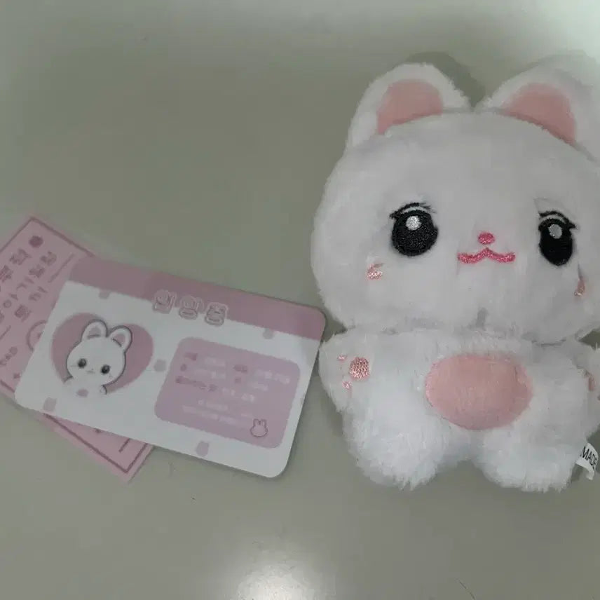 [BUNJANG] Kim Ji Won Kim Toding Doll / 배우 김지원 인형 김토딩