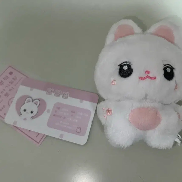 [BUNJANG] Kim Ji Won Kim Toding Doll / 배우 김지원 인형 김토딩