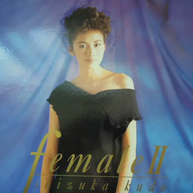 [BUNJANG] Hizura Rudo Japanese LaserDisc / 레이저디스크(LD) hizura rudo일본