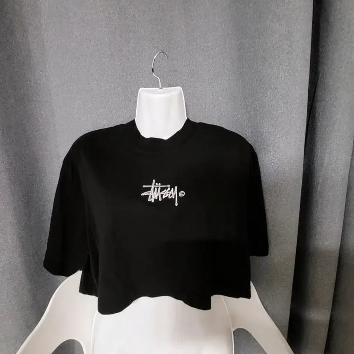 [BUNJANG] Stussy Crop T-shirt / 스투시 크롭반팔티